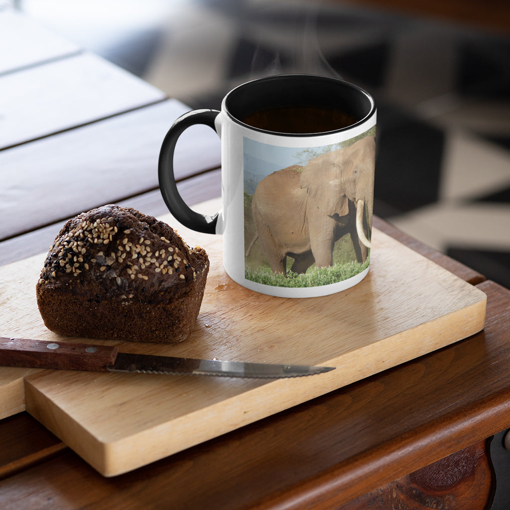 Magnificence Mug by Will Travers