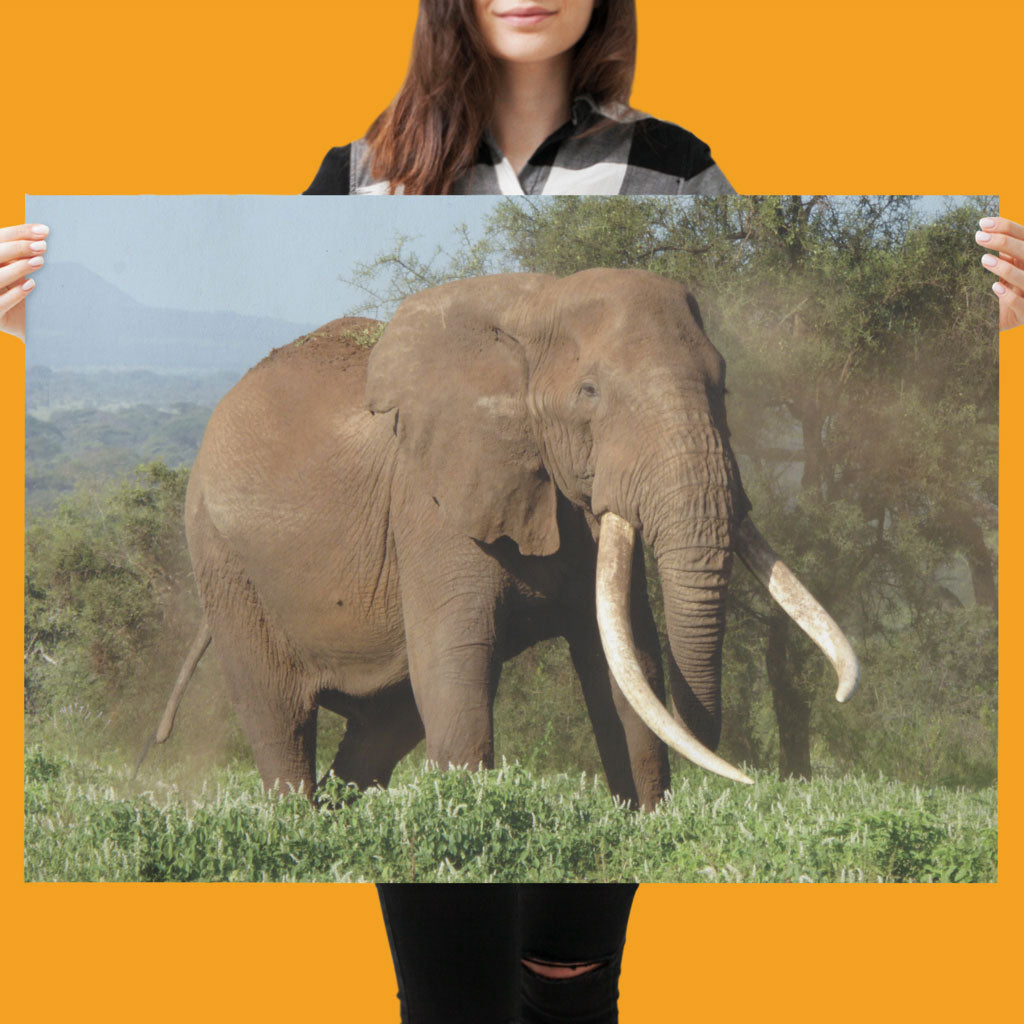 Magnificence Art Print by Will Travers