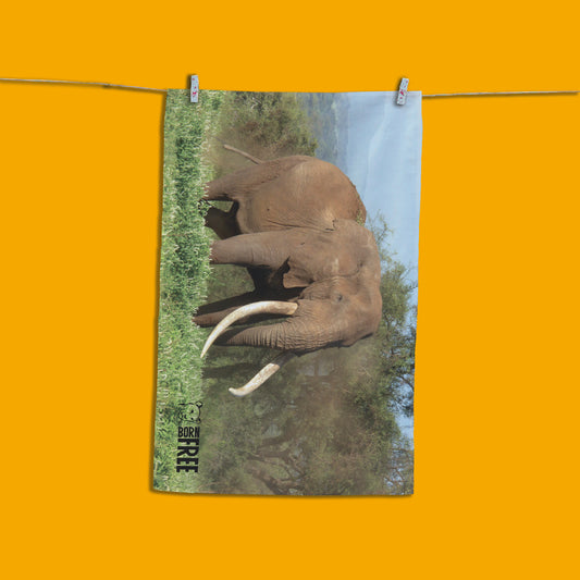 Magnificence Tea Towel by Will Travers