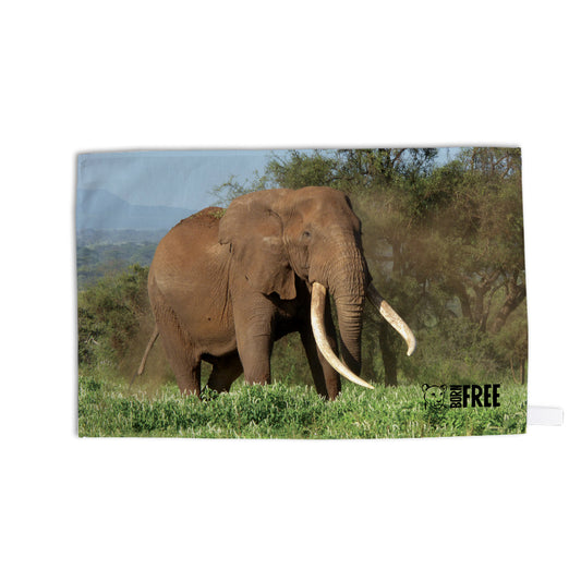 Magnificence Tea Towel by Will Travers