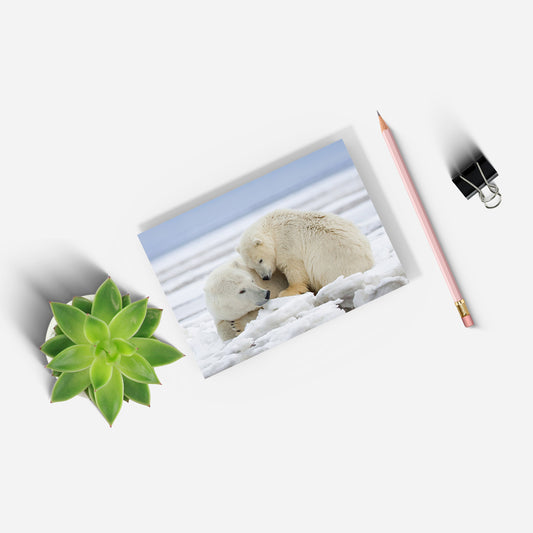 Warmth on Ice - Polar Bears A5 Notepad by Richard Bernabe