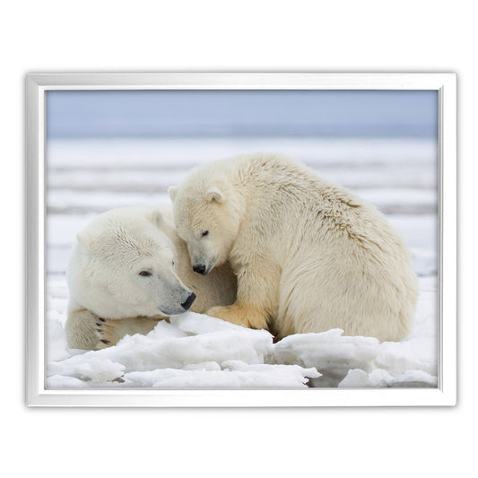 Warmth on Ice - Polar Bears Art Print by Richard Bernabe