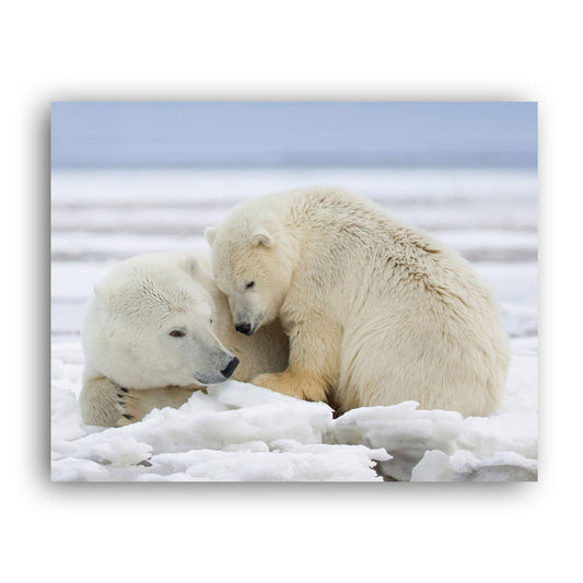 Warmth on Ice - Polar Bears Art Print by Richard Bernabe