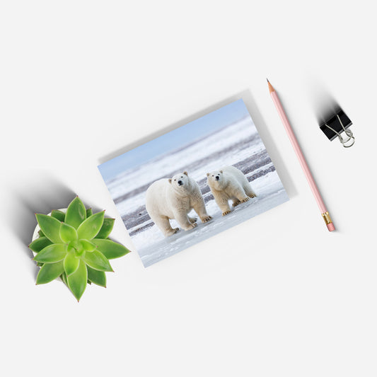 The Long Goodbye - Polar Bears A5 Notepad by Richard Bernabe