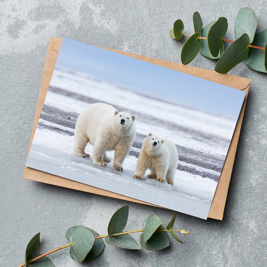 The Long Goodbye - Polar Bears Greeting Cards - Pack of 6 by Richard Bernabe