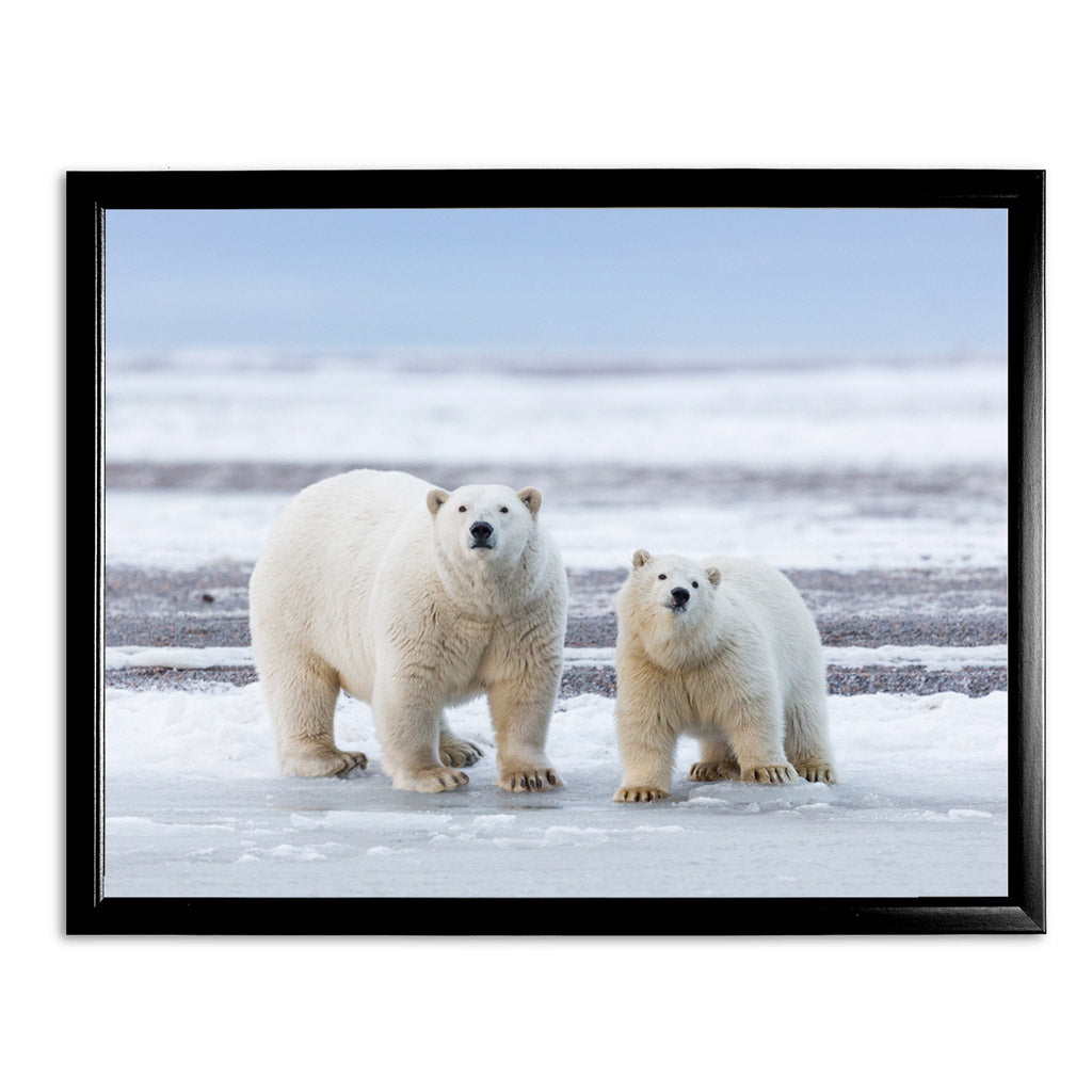 The Long Goodbye - Polar Bears Art Print by Richard Bernabe