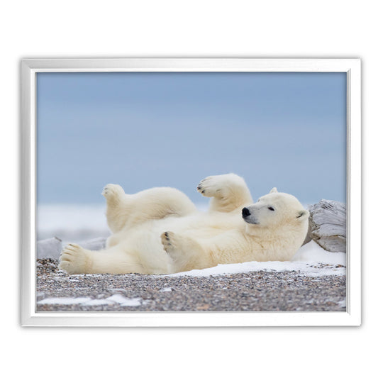 Polar Bear Blues Art Print by Richard Bernabe