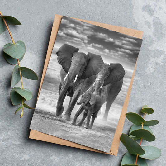 Family Ties - Elephants Greeting Cards - Pack of 6 by Richard Bernabe