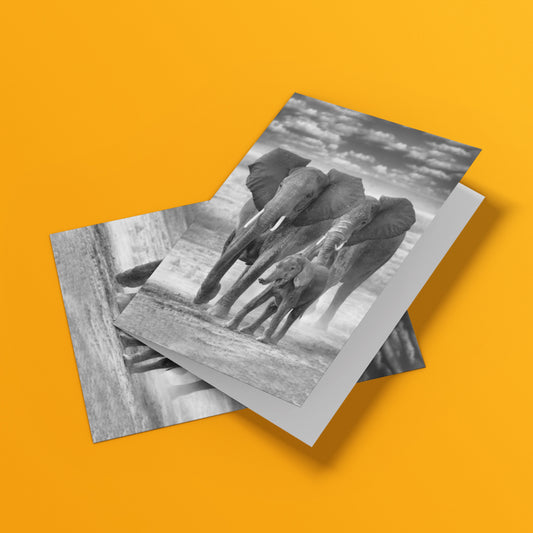 Family Ties Greeting Cards Pack of 6 by Richard Bernabe