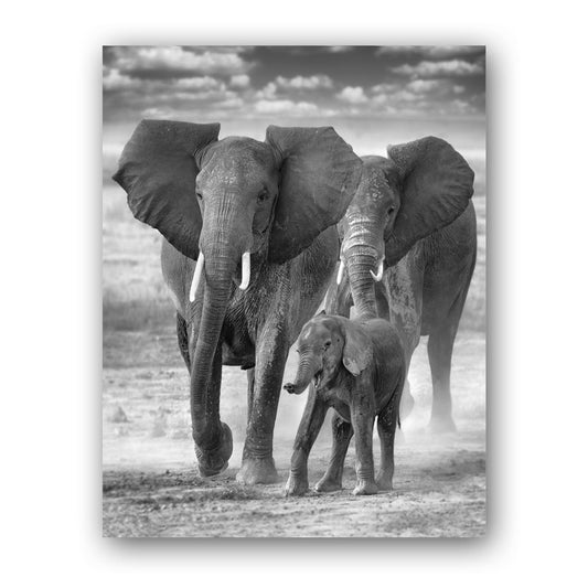 Family Ties Art Print by Richard Bernabe