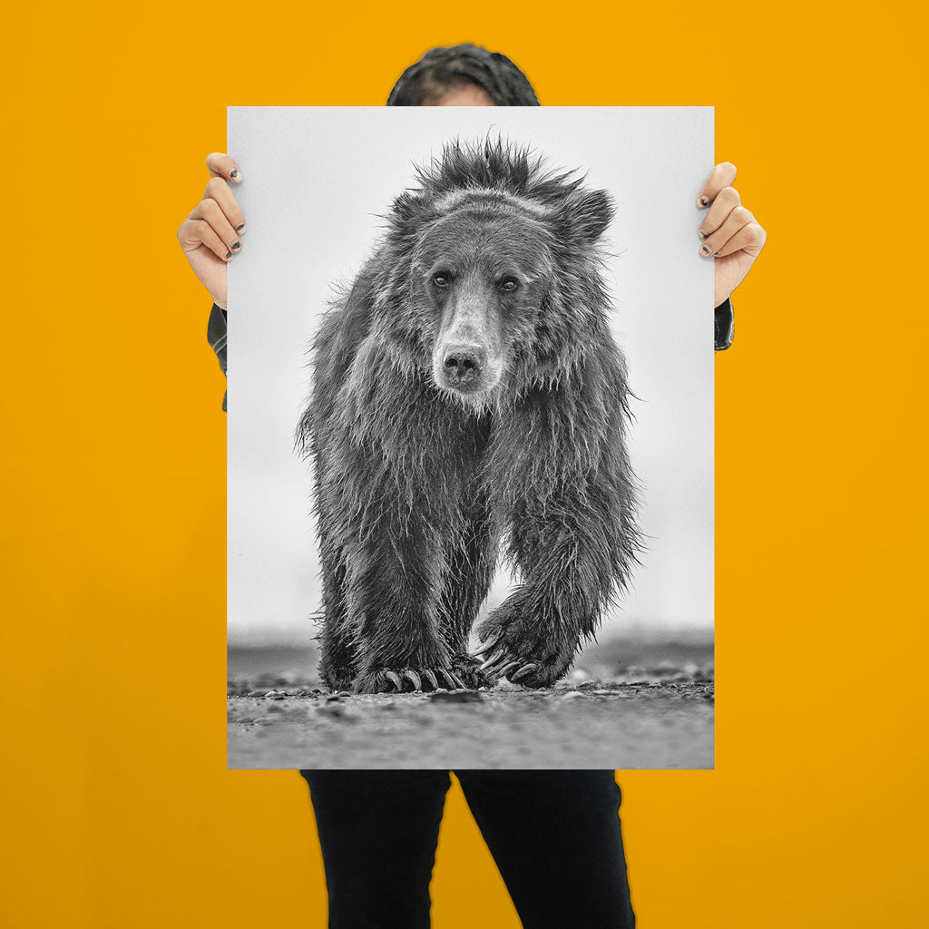 Down Shift Art Print by Richard Bernabe