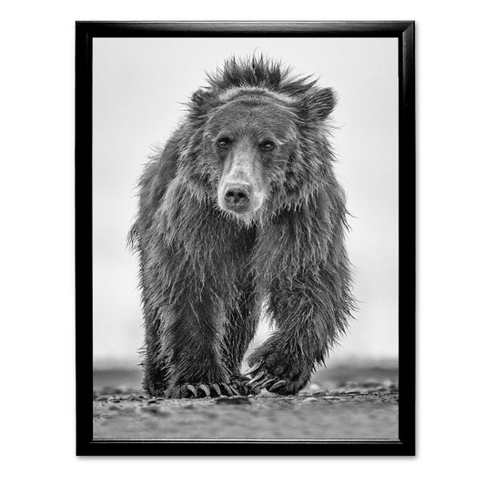 Down Shift - Bear Art Print by Richard Bernabe