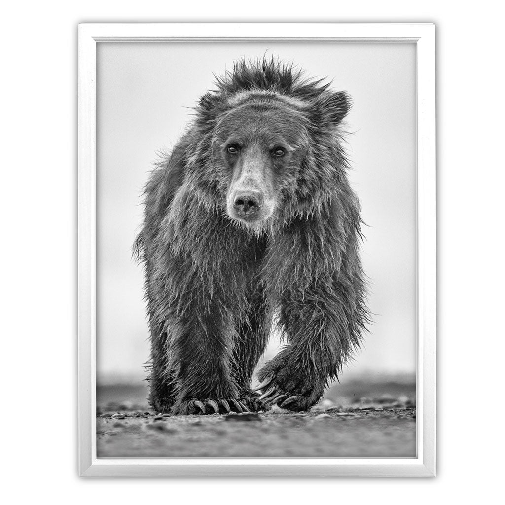 Down Shift Art Print by Richard Bernabe