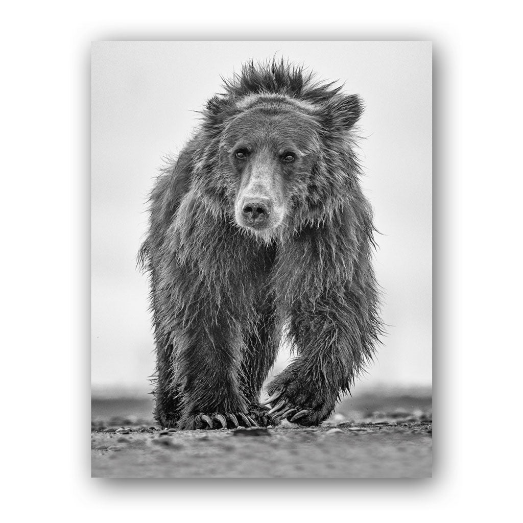 Down Shift Art Print by Richard Bernabe