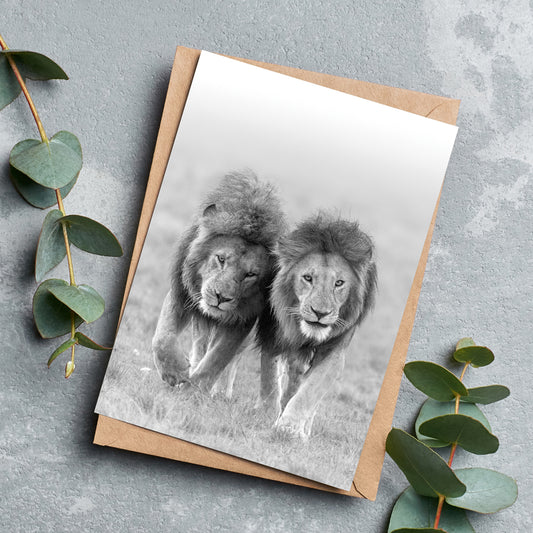 Two Kings Pack of 6 by Richard Bernabe