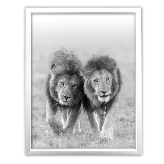 Two Kings - Lions Art Print by Richard Bernabe