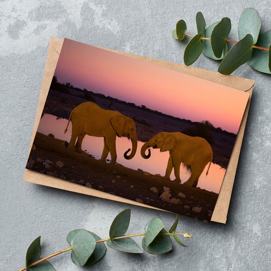 Silent Thunder - Two Elephants at Sunset Greeting Cards Pack of 6 by Richard Bernabe