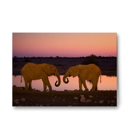 Silent Thunder - Two Elephants at Sunset Greeting Cards Pack of 6 by Richard Bernabe