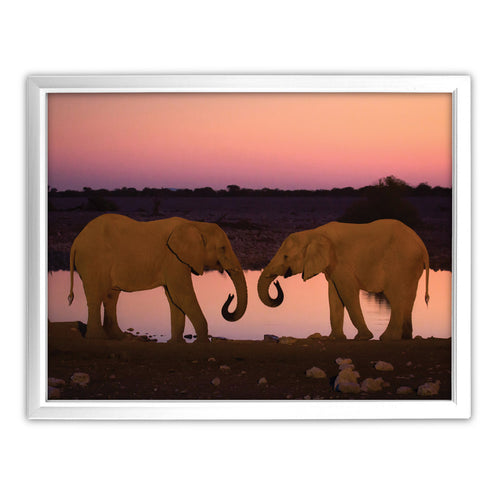 Silent Thunder - Two Elephants at Sunset Art Print