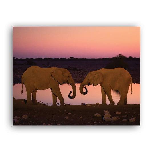 Silent Thunder - Two Elephants at Sunset Art Print by Richard Bernabe
