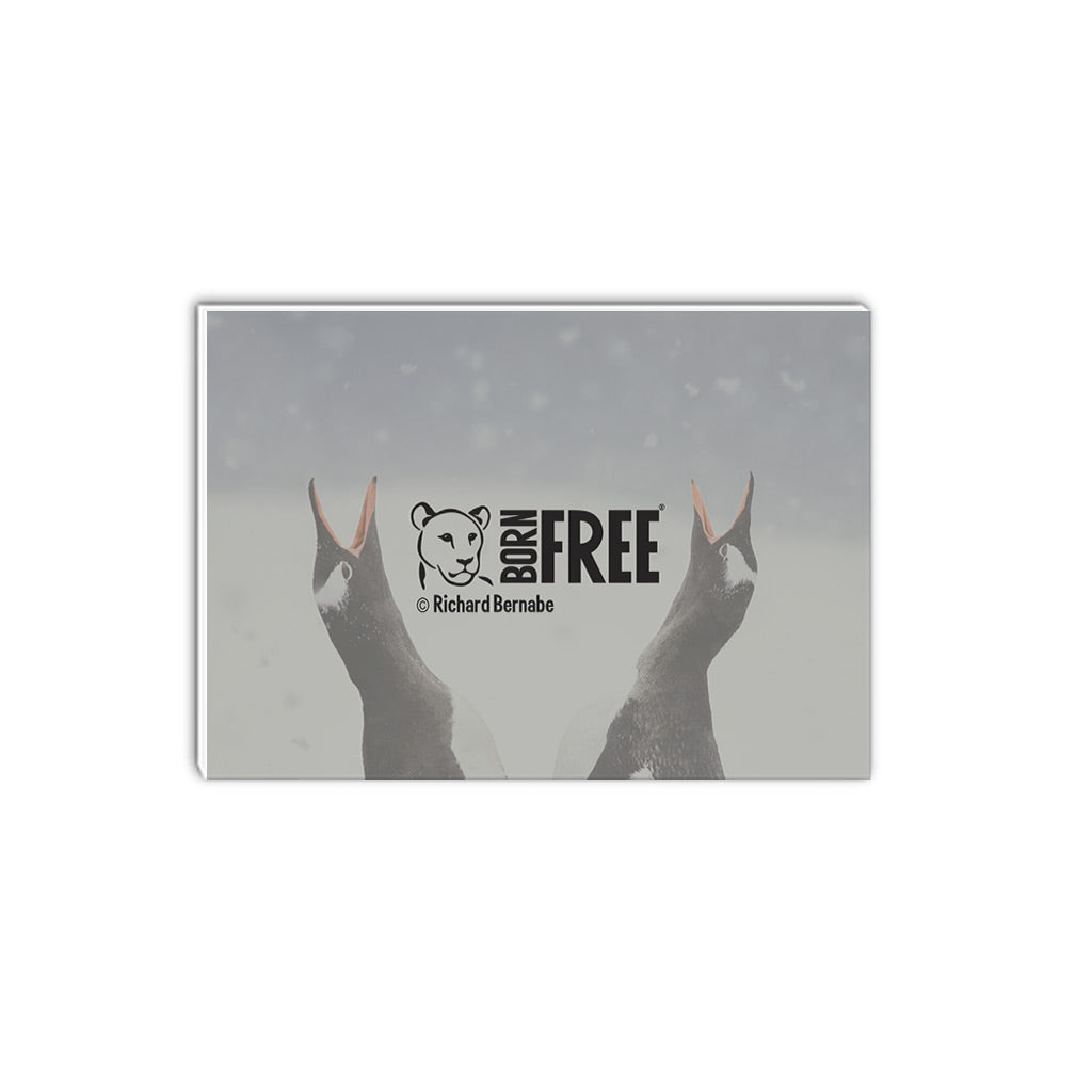 Wintersong - Paradise Bay, Antarctica A5 Notepad