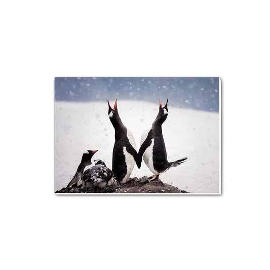 Wintersong - Paradise Bay, Antarctica A5 Notepad