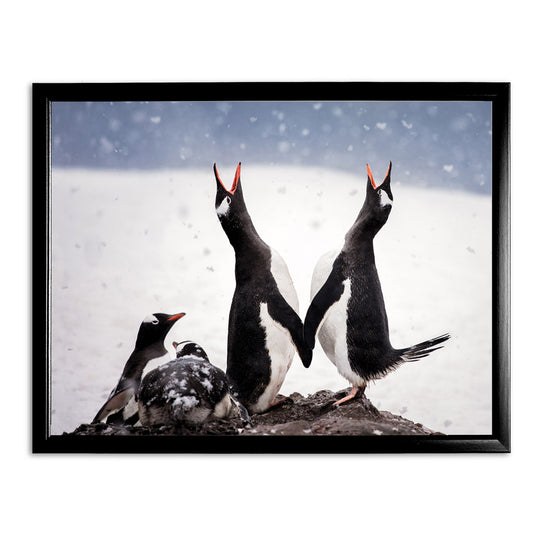 Wintersong - Paradise Bay, Antarctica Art Print