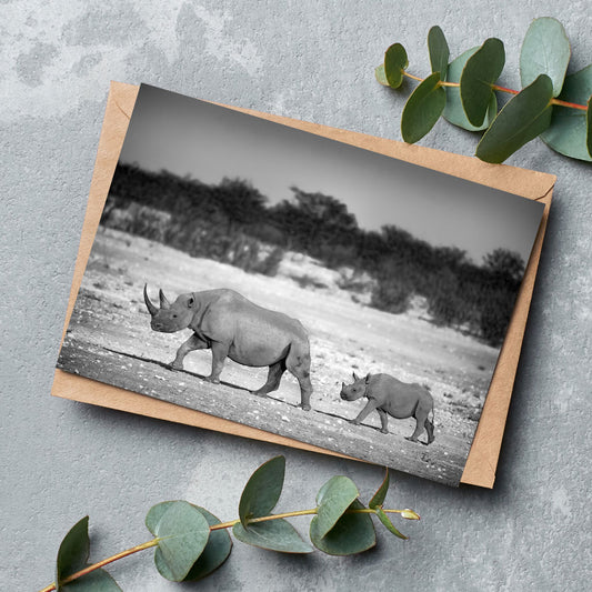 Living Legacy Greeting Cards Pack of 6 by Richard Bernabe
