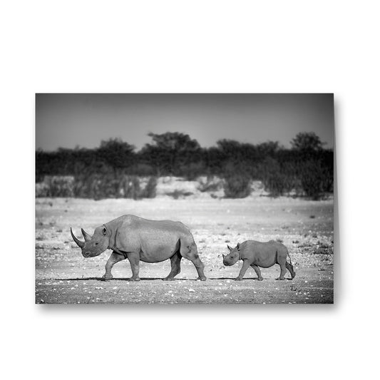 Living Legacy Greeting Cards Pack of 6 by Richard Bernabe