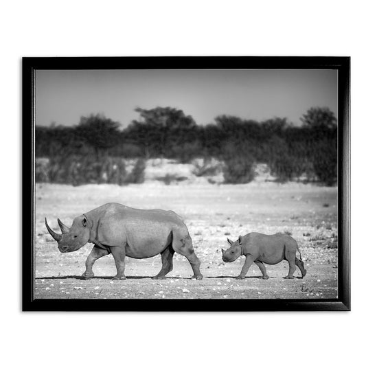 Living Legacy - Etosha National Park, Namibia Art Print