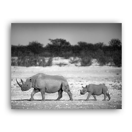 Living Legacy - Etosha National Park, Namibia Art Print