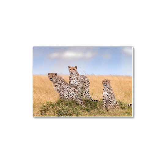Lissome Trio - Masai Mara, Kenya A5 Notepad