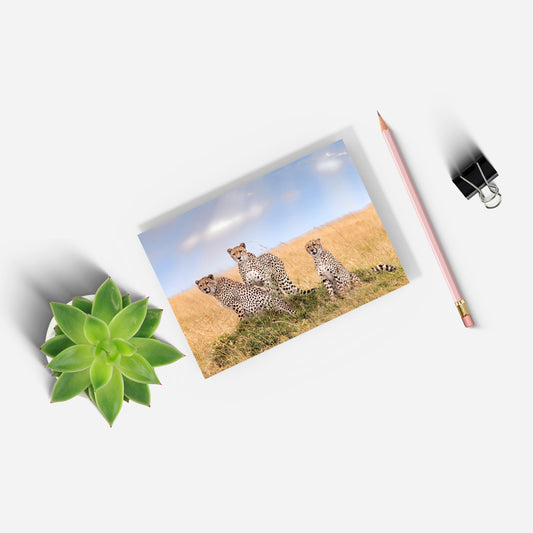 Lissome Trio A5 Notepad by Richard Bernabe