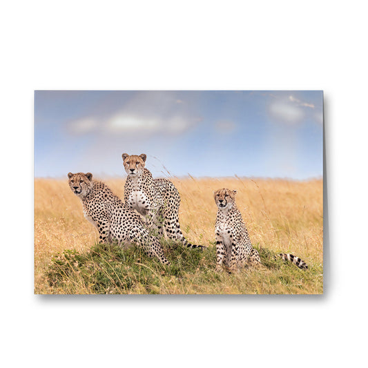 Lissome Trio Greeting Cards Pack of 6 by Richard Bernabe