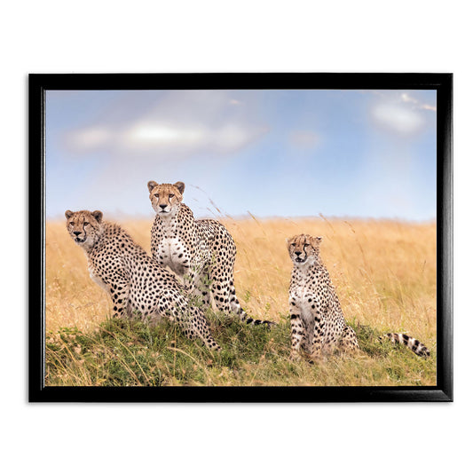 Lissome Trio Art Print by Richard Bernabe