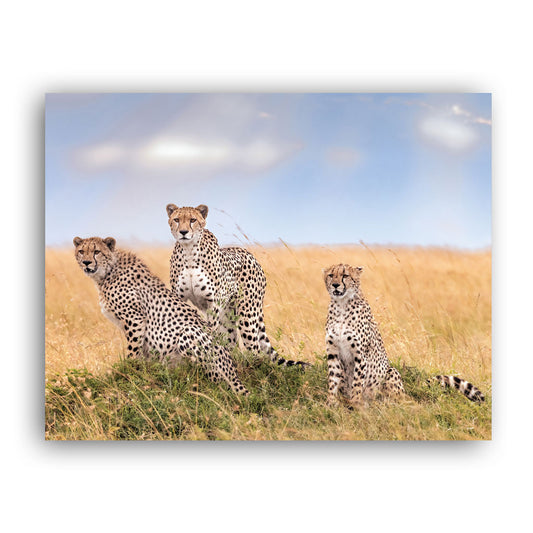 Lissome Trio Art Print by Richard Bernabe