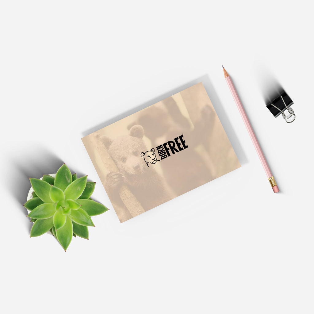 New Beginnings Bear Cub A5 Notepad