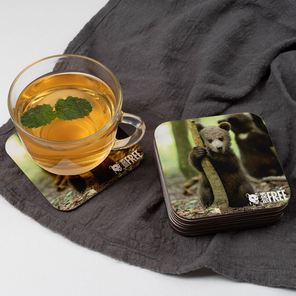 New Beginnings Bear Cub Coaster
