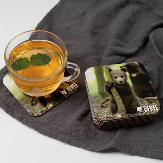 Born Free Bear Cub Coaster