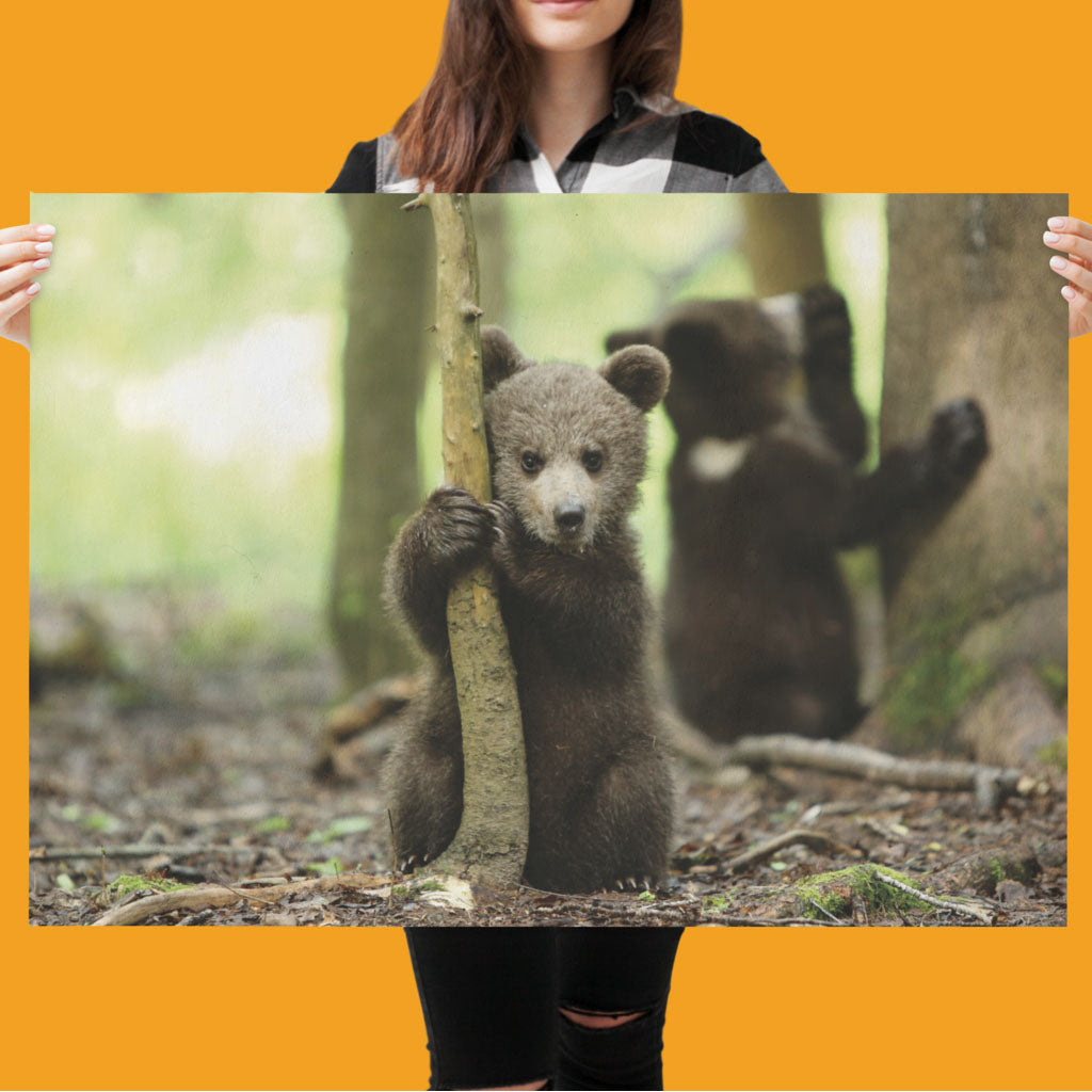 New Beginnings Bear Cub Art Print