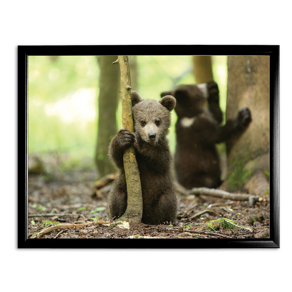 New Beginnings Bear Cub Art Print