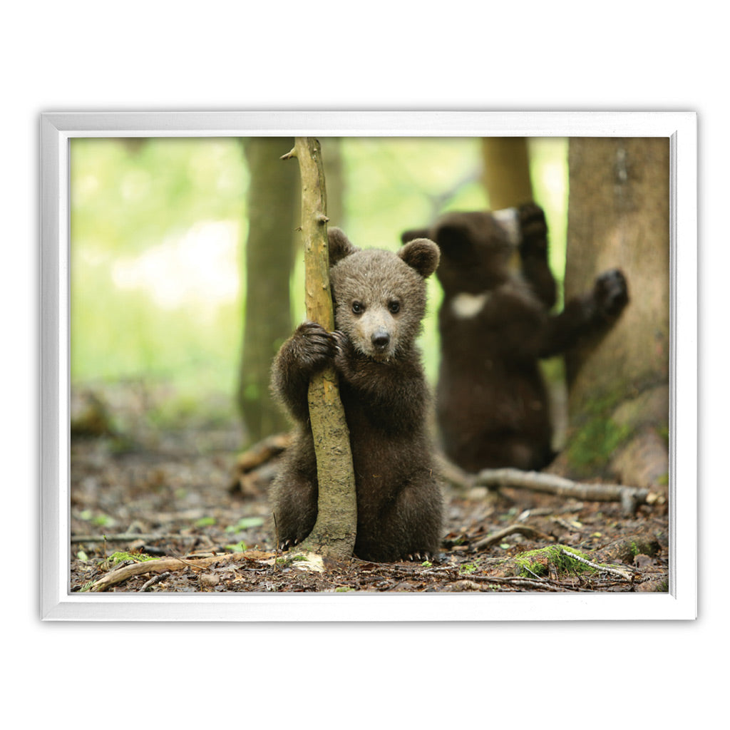New Beginnings Bear Cub Art Print