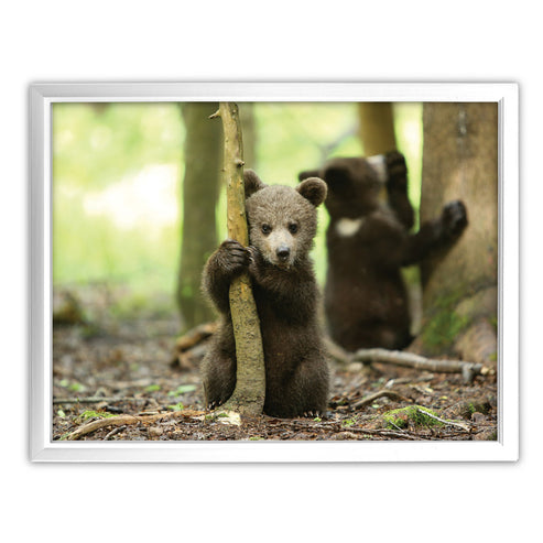 Born Free Bear Cub Art Print