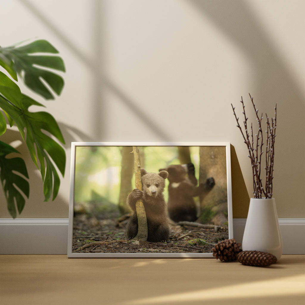 New Beginnings Bear Cub Art Print