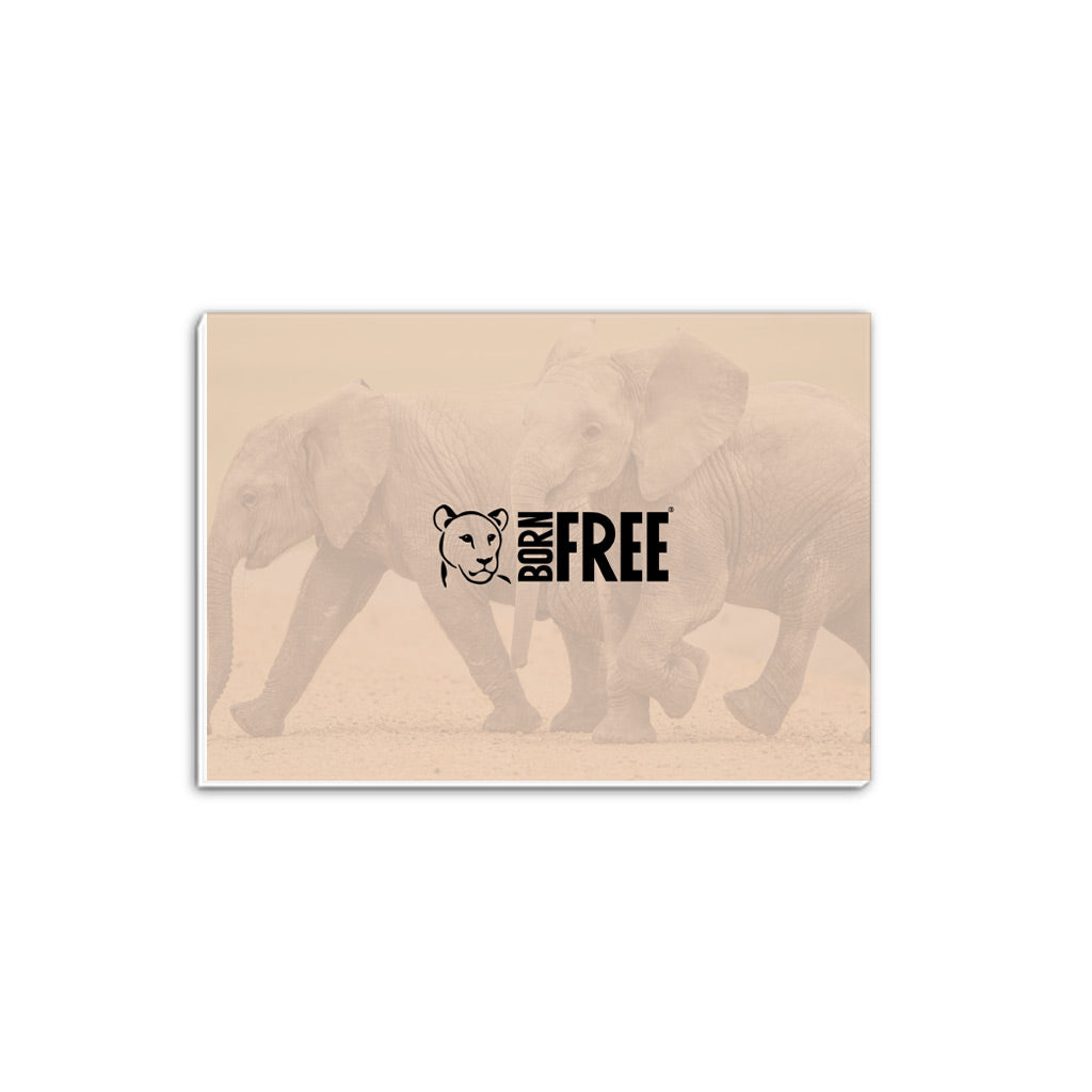 New Beginnings Elephant Calf A5 Notepad by George Logan