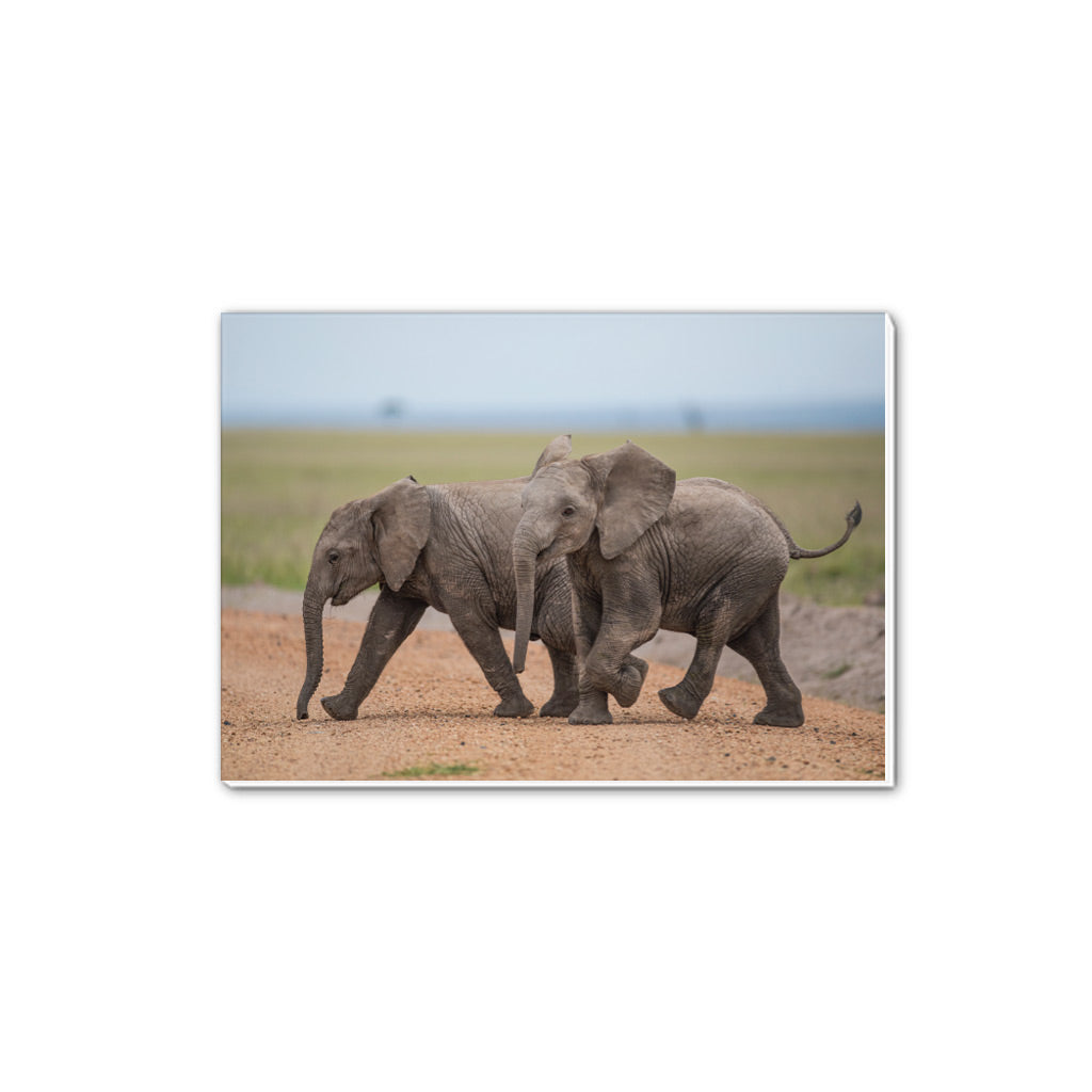 New Beginnings Elephant Calf A5 Notepad by George Logan