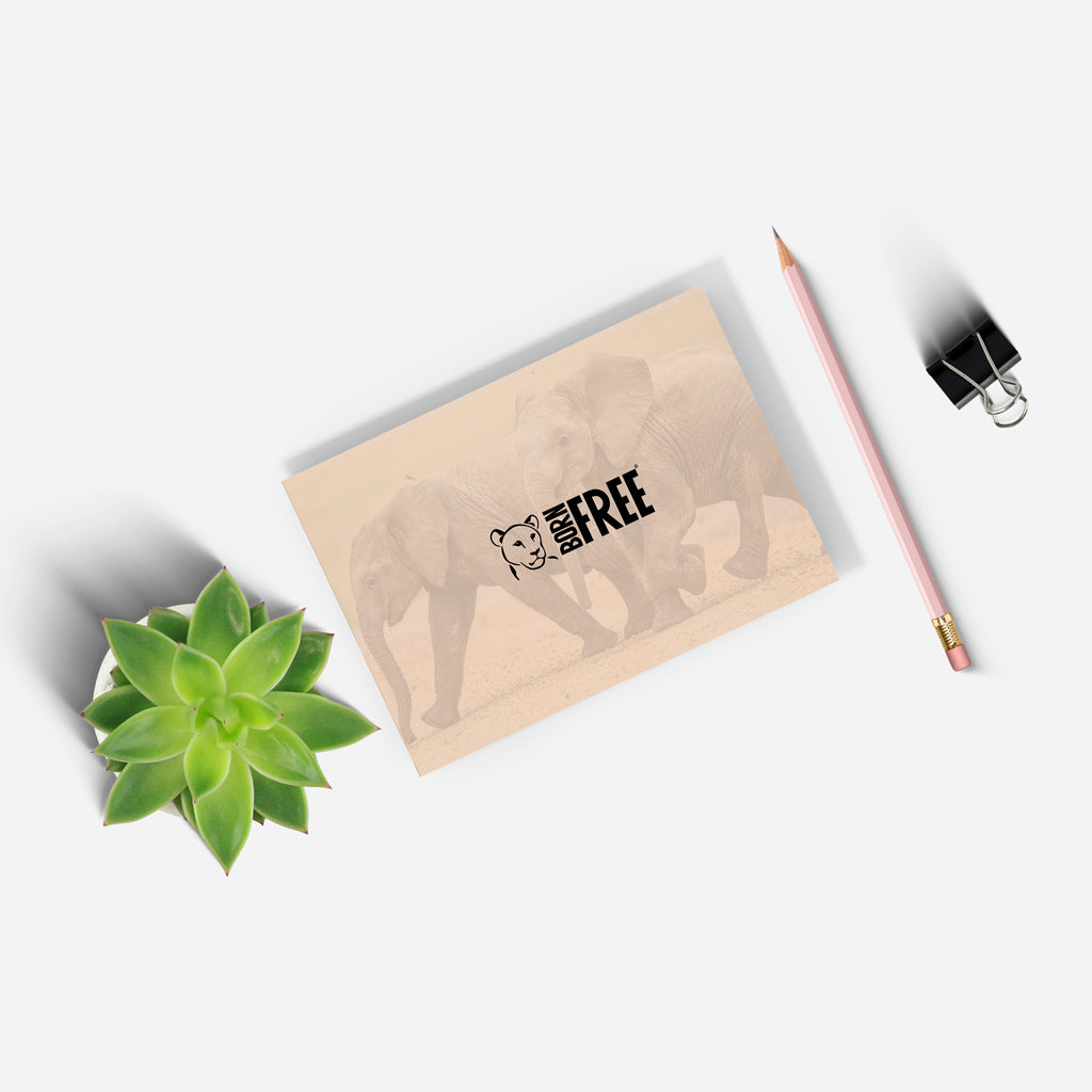 New Beginnings Elephant Calf A5 Notepad by George Logan