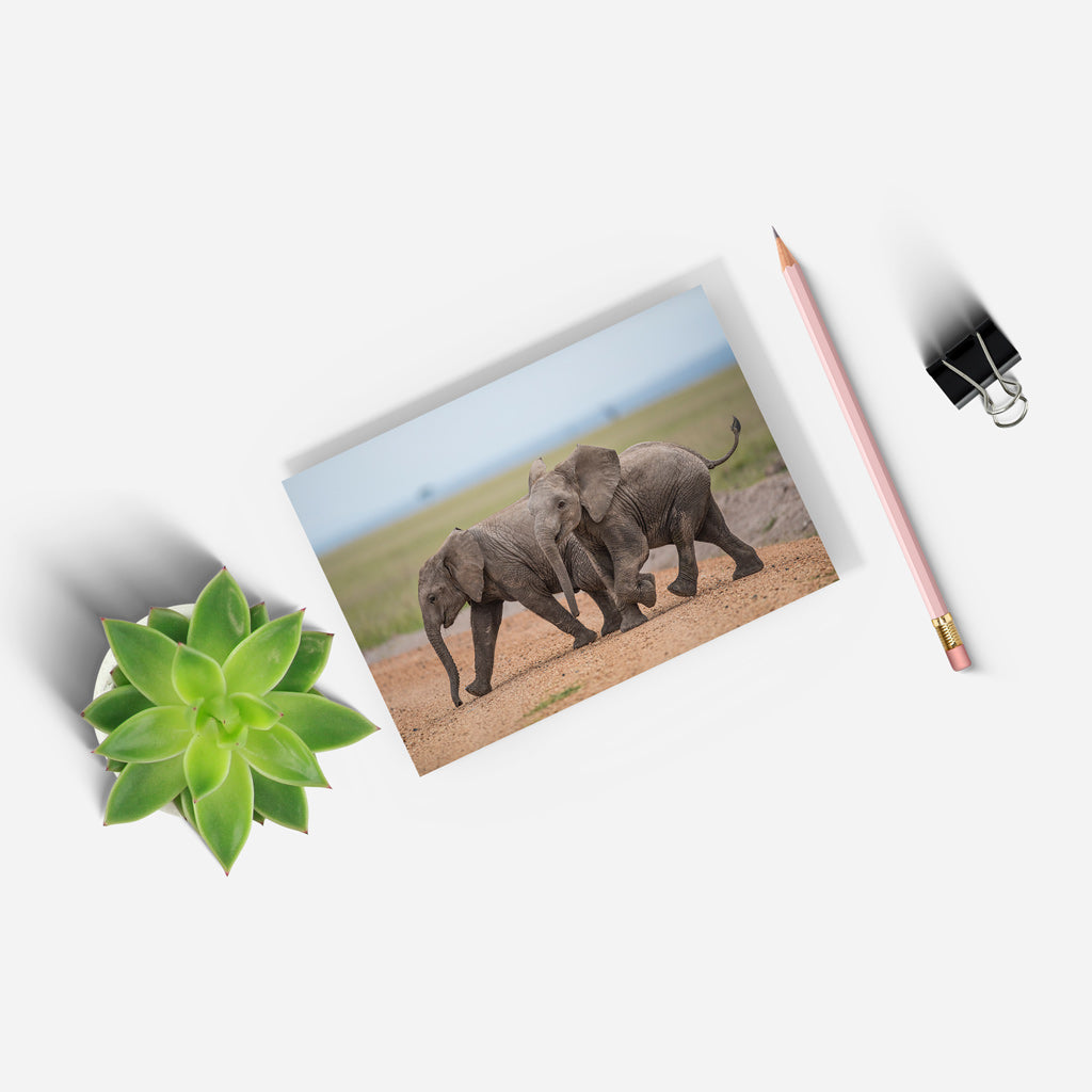 New Beginnings Elephant Calf A5 Notepad by George Logan