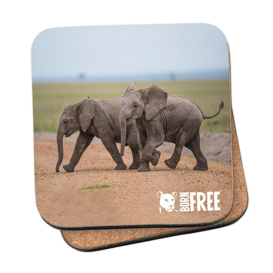 New Beginnings Elephant Calf Coaster by George Logan