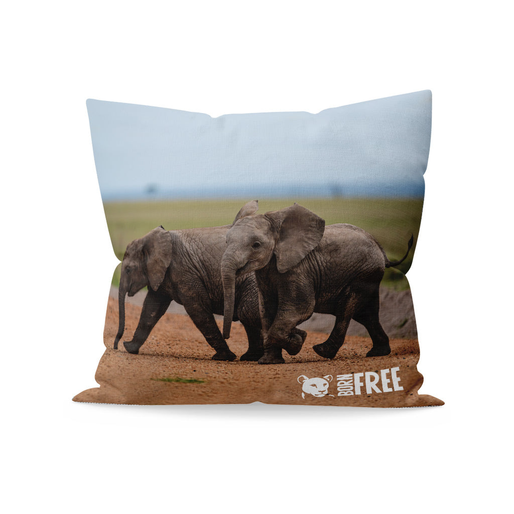 New Beginnings Elephant Calf Organic Cushion by George Logan